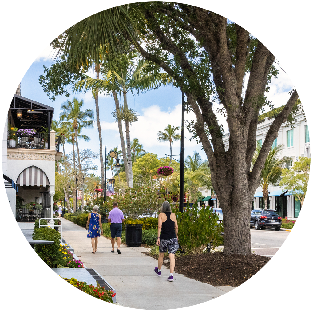AIDH circle AdobeStock_504670303